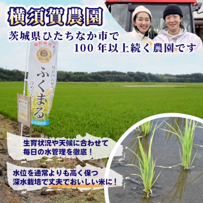 【先行予約・9月以降順次発送】令和7年 ひたちなか市産 特栽・特選ふくまる(玄米)10kg×1袋