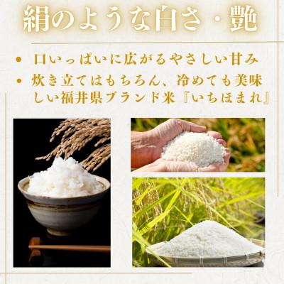 ふるさと納税 小浜市 【毎月定期便】いちほまれ白米10kg全6回 |  | 02