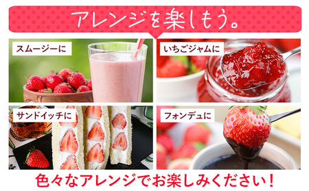 あまおう いちご 500g 簡易包装版
