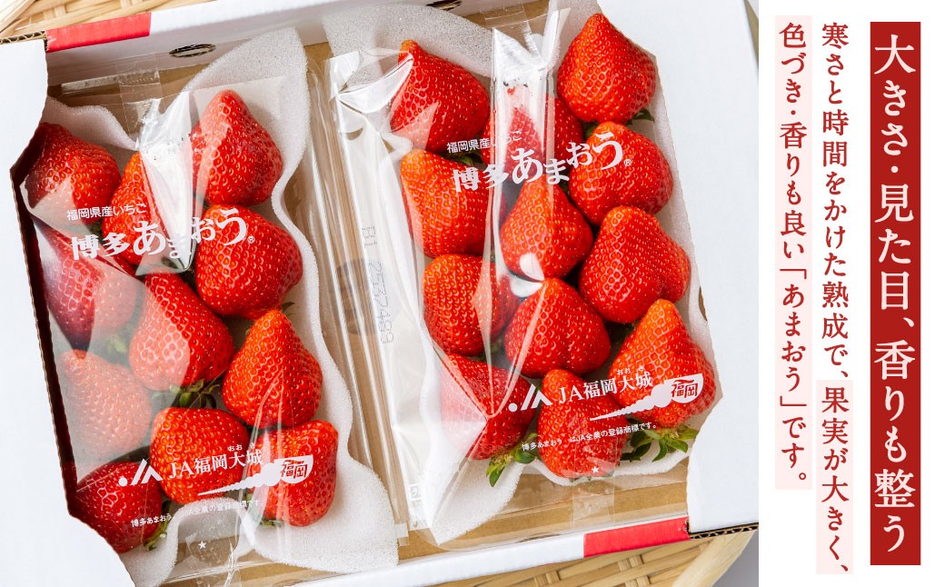 福岡県産特産品 うまもぐ厳選果物 福岡県産 博多あまおう DX上級品 約1.5kg（約250g×6パック入り）