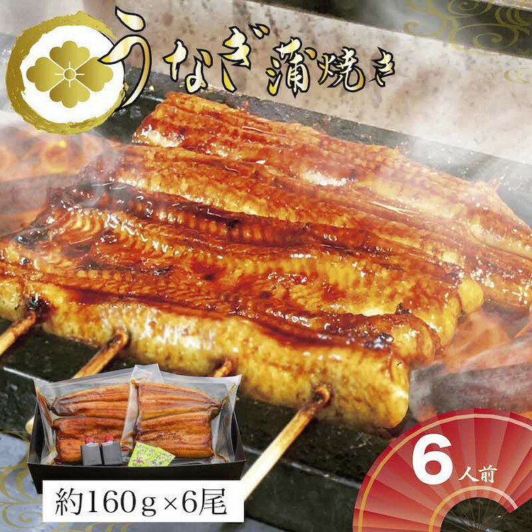 【ふるさと納税】【お中元】うなぎ蒲焼6人前（1人前約160g×6）贈答用パッケージ｜うなぎ 鰻 ウナギ 960グラム 国産 かば焼き 蒲焼き 蒲焼 うな重 ひつまぶし たれ 山椒 人気 おすすめ 取り寄せ お取り寄せ グルメ 惣菜 ギフト 贈答 贈り物 プレゼント_AT12