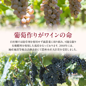 ワイン 柏原醸造ワイン 白 甘口 1本 酒 お酒 白ワイン 国産 アルコール 