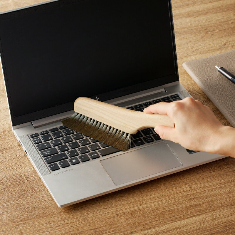 【ふるさと納税】〈伝統工芸〉静電気除去ブラシ 埃取り お手入れ ブラッシング 日本製 ギフト プレゼント 宮川刷毛ブラシ製作所