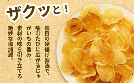 ヒロサンポテト ポテトチップス 5種アソート 25袋