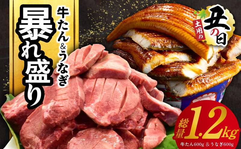 【土用の丑の日までにお届け】暴れ盛りセット 牛たん & うなぎ 総量 1.2kg【600g×2 牛肉 厚切り牛タン 鰻 蒲焼き 訳あり サイズ不揃い 小分け 家計応援 大阪 泉佐野 大阪府 泉佐野市】