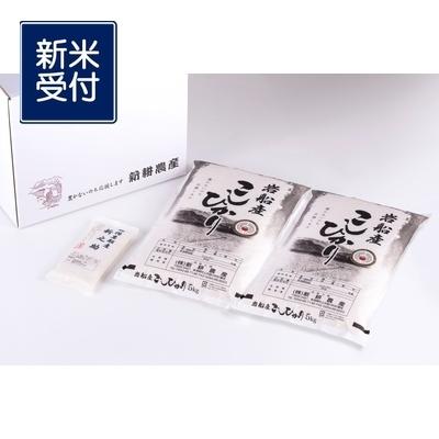 ふるさと納税 村上市 【新米受付・令和8年産米】米ソムリエ板垣 新潟岩船産コシヒカリ10kg&amp;新之助300g NB4028