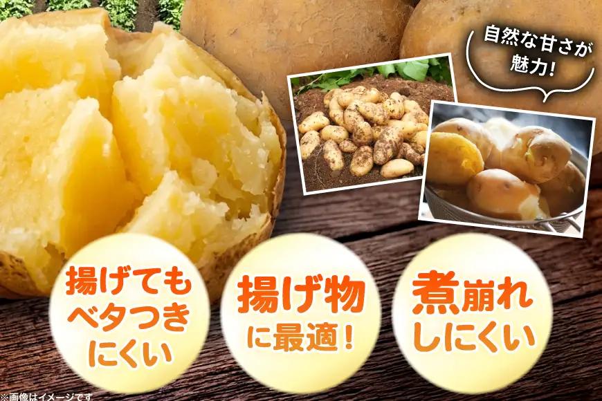 じゃがいも 北海黄金 5kg