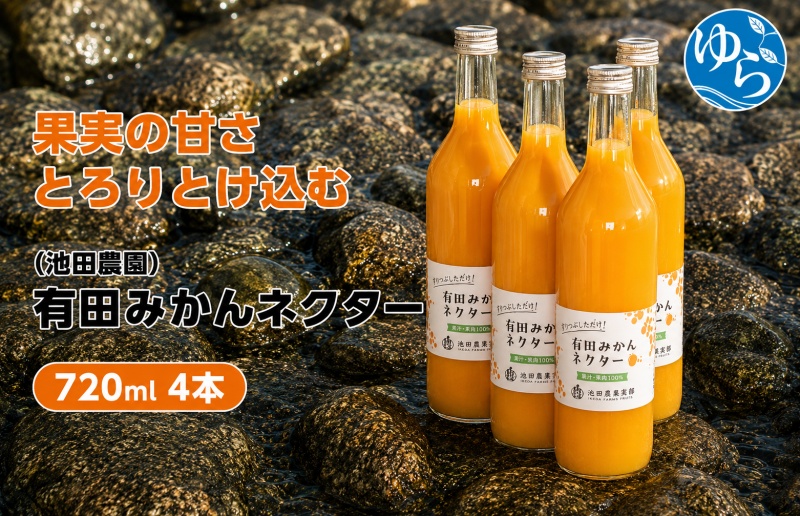 みかん ネクター 100％ ジュース / 温州みかん 有田みかん 果汁 無添加 柑橘 和歌山 14000円 720ml ※北海道・沖縄・離島への配送不可 //drink 【ikd100-to720-4】