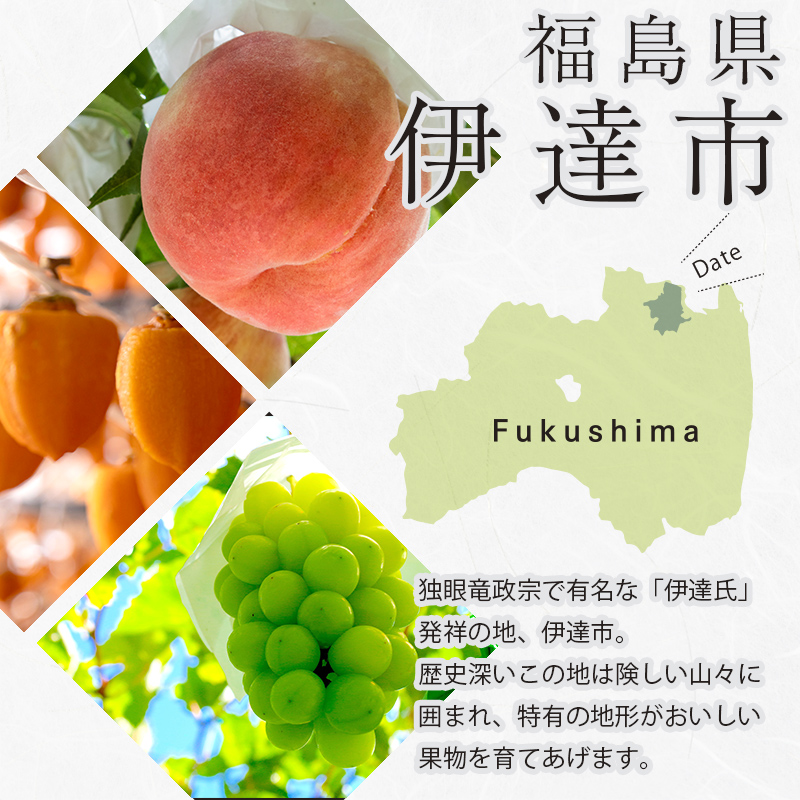＜2024年春から開始の定期便＞伊達なフルーツ定期便（いちご・ぶどう）果物 フルーツ 苺 イチゴ 葡萄 ブドウ 福島県 伊達市  果物 くだもの 果実 セット 詰め合わせ 詰合せ 食品 F20C-51