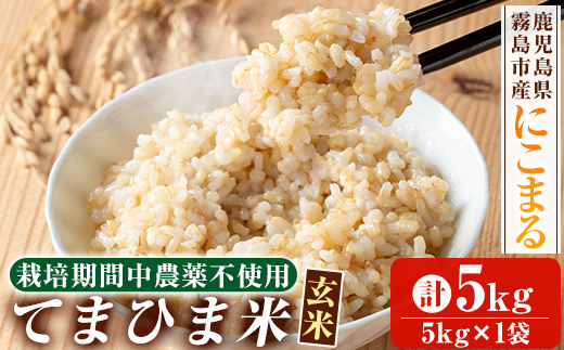 K-391-B 《令和6年産》てまひま米・玄米(品種：にこまる)(計5kg：5kg×1袋)【末蜜農園】霧島市 お米 玄米 米 こめ コメ ご飯 ごはん 栽培期間中農薬不使用