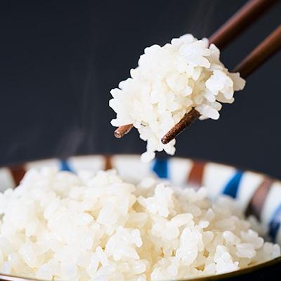 ふるさと納税 館山市 令和7年産千葉県産長狭米コシヒカリ精米5kg |  | 02