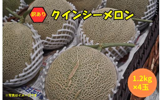 【訳あり】クインシーメロン 4玉（1.2kg×4）