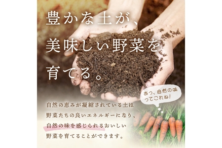 ＜てんとうむしばたけ＞オーガニック野菜セット　有機野菜6～7種(2人用)