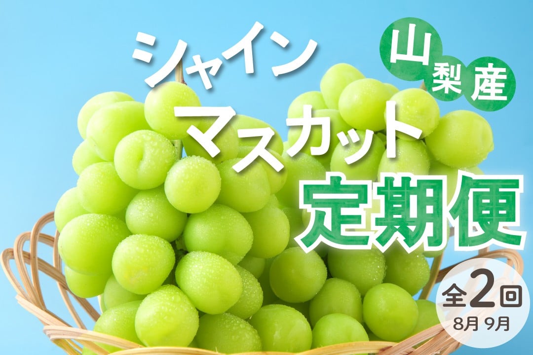 
            【定期便全2回】 甲州市 シャインマスカット定期便 産地直送 瑞々しい美味しさのまま発送！【2026年発送】（VYD）C2-885【シャインマスカット 葡萄 ぶどう ブドウ 令和8年発送 期間限定 山梨県産 定期便 甲州市 フルーツ 果物】
          