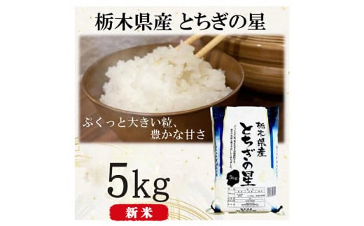 【令和6年産・新米】栃木県産とちぎの星（精米）5kg×1袋 ｜ お米 白米 一等米 送料無料 栃木県 宇都宮市　※離島への配送不可