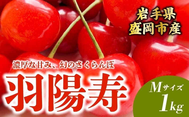 
                  【先行予約】 さくらんぼ 羽陽寿 M 1kg 6月下旬発送 大粒 果汁 甘 ジューシー 人気 果物 フルーツ 国産 産地直送 お取り寄せ 贈り物 岩手県 盛岡市 東北 岩手 盛岡 田屋果樹園 taya006
                