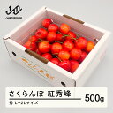 【ふるさと納税】 先行予約 さくらんぼ 紅秀峰 秀品 L-2L玉 500g バラ詰 2025年産 令和7年産 山形県産 mm-bsbax500