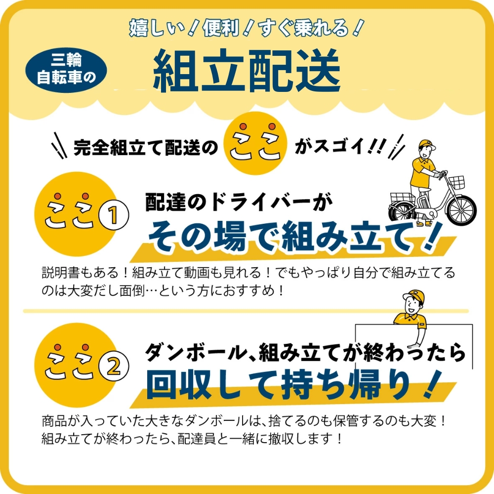 イーパートンプラス ノーパンク ロータイプ 電動アシスト 三輪自転車 BEPN18PN（組立配送）｜三輪車 大人用 18インチ パンクしない 3輪 高齢者 シニア カゴ付き 低床サドル ミムゴ CC0