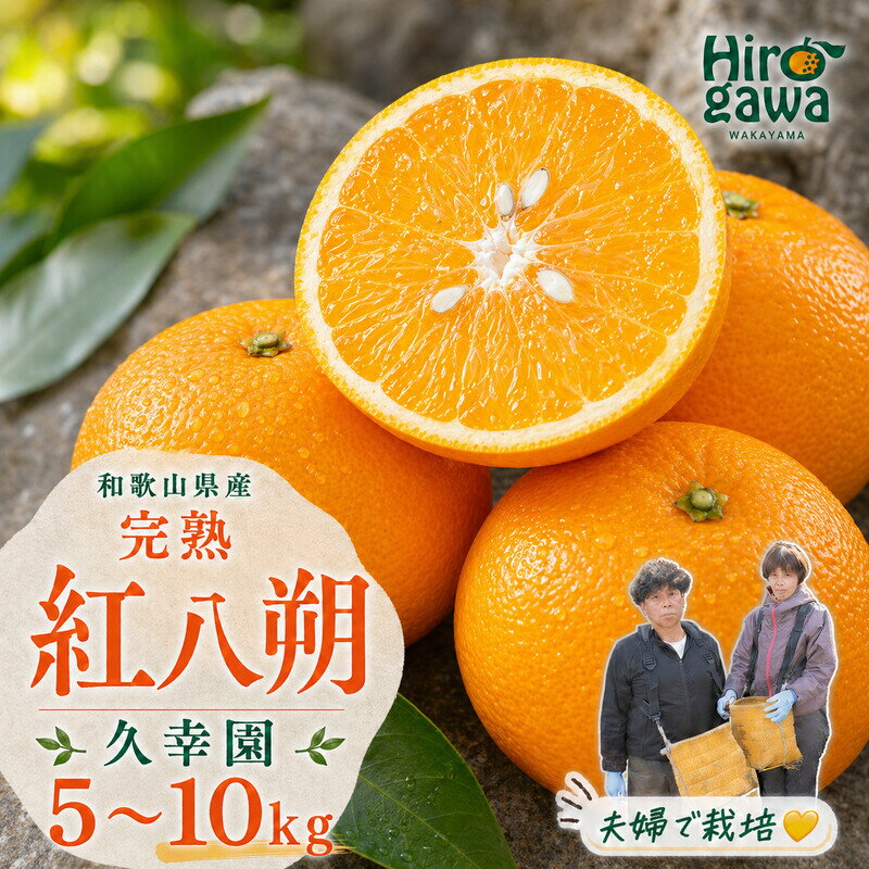 【ふるさと納税】 完熟 紅 八朔 5kg 7kg 10kg 10000円 13000円 17000円 久幸園 ※3月中旬〜6月上旬頃に順次発送予定 / 紅八朔 はっさく 樹上完熟 完熟 木成り 柑橘 果物 くだもの フルーツ みかん 和歌山 有田 広川町 //hassaku