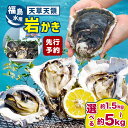 【ふるさと納税】 天領岩牡蠣 選べる容量 約1.5kg ～ 約 5kg 福島水産 牡蠣 かき カキ 岩カキ 岩ガキ 貝 BIG ビッグ 生食 バーベキュー 夏天草 天領 苓北 熊本 旬 シーズン 送料無料