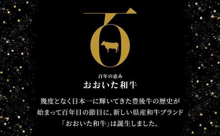 おおいた和牛 切り落とし 1kg（500g×2P）
