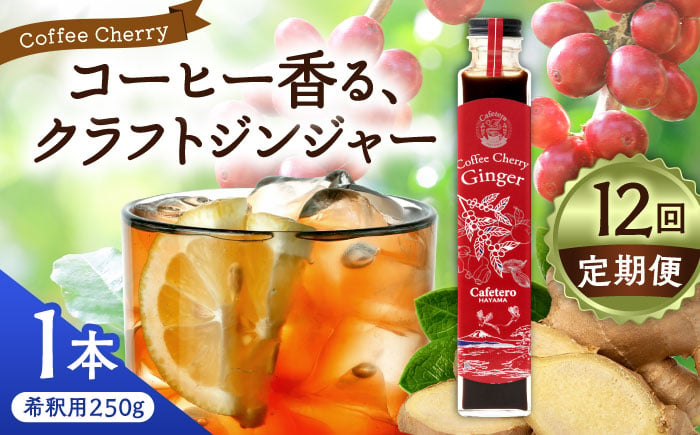 
            【全12回定期便】カフェテーロ葉山　コーヒーチェリージンジャー　250g×1本 / 天然エネジードリンク 酸味 フルーティ 神奈川県【合同会社エンディレクト】 [ASBM012]
          