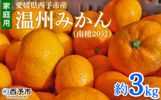 ＜愛媛県西予市産 温州みかん（南柑20号）家庭用 約3kg（サイズ不揃い・小傷あり）＞ 訳あり  果物 くだもの ミカン 柑橘 フルーツ 食べて応援 特産品 段畑みかん 愛媛県 西予市【常温】『2026年11月中旬～12月下旬頃迄に順次出荷予定』