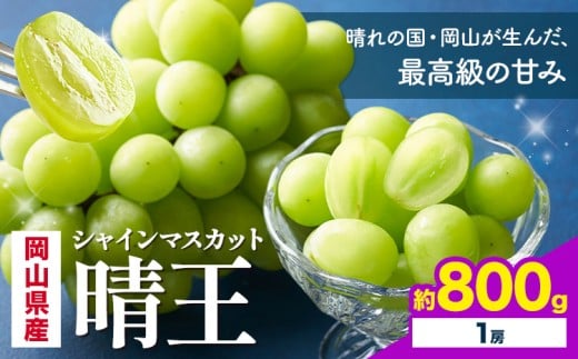 【2026年先行予約】 岡山県産 シャインマスカット 晴王 800g 1房 株式会社はちや《2026年7月上旬‐8月下旬頃出荷》岡山県 浅口市 ぶどう 葡萄 フルーツ ギフト 果物 デザート 国産【配送不可地域あり】