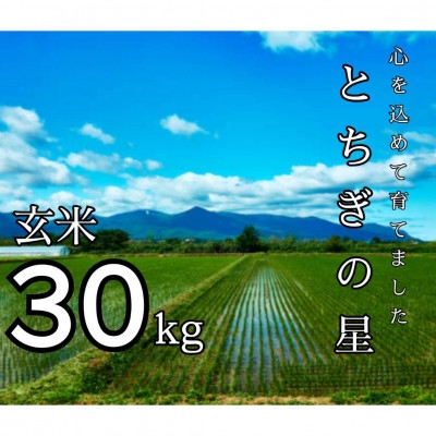 
                  数量限定!令和7年産 とちぎの星 玄米 30kg【1628168】
                