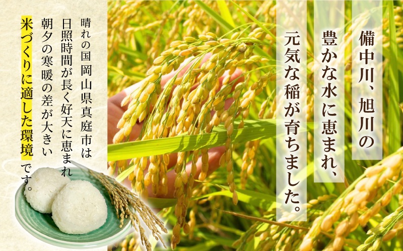 【令和7年産先行予約】 令和7年新米 真庭市産 ひとめぼれ 白米 ５kg / お米 岡山県 真庭市 白米 米 ひとめぼれ 人気 新米 令和7年産 2025年産 【tkns001-01】 5kg