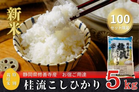 米 桂流 こしひかり 米 （ 数量限定 100 セット）米 特別栽培米 米 ５㎏  015-013