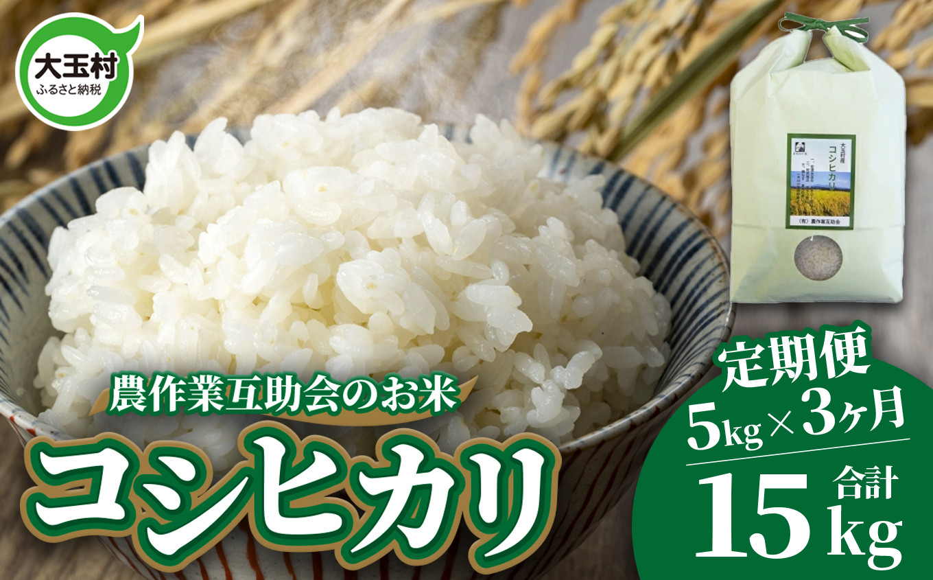 
                  米 定期便 コシヒカリ 15kg ( 5kg × 3ヶ月 ) 福島県 大玉村 農作業互助会  ｜ こしひかり 精米 白米 こめ ごはん 定期 3回 コメ ｜ gj-kh05-t3-R7
                
