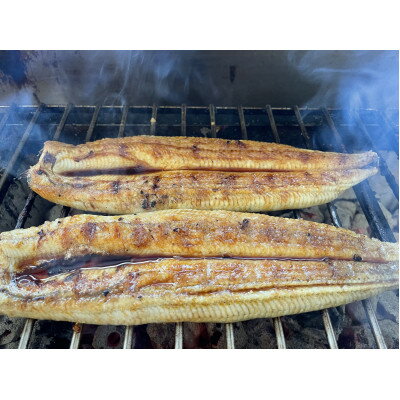 【ふるさと納税】【国産うなぎ】通常サイズ120g-140g　三河一色産　4尾　炭火蒲焼き(タレ付き)【配送不可地域：離島】【1659372】