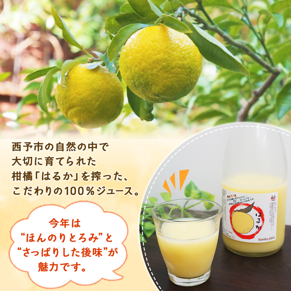 ＜はるかジュース 720ml×2本セット＞ 愛媛 果汁 100% はるか ジュース ストレート みかん じゅーす 100%ジュース セット 柑橘 果物 フルーツ 飲料 オレンジ 特産品 渡江から一歩を