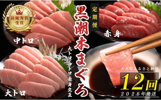【定期便12回】日本一!黒潮本まぐろ 大トロ・中トロ・赤身（交互） 