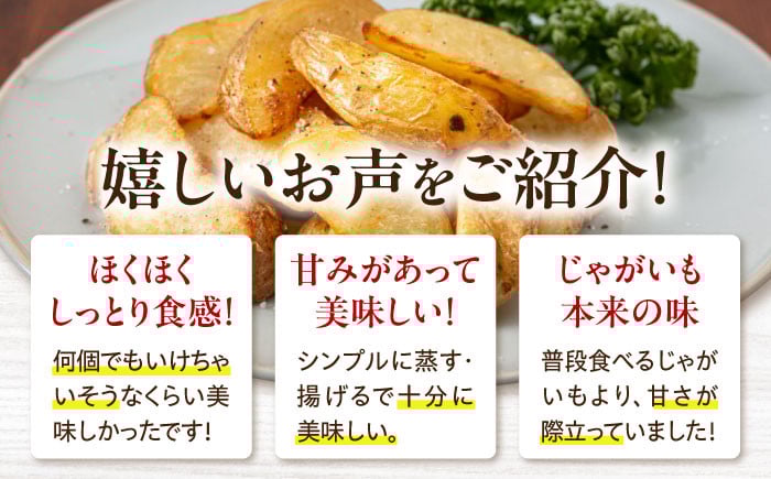  ジャガイモ じゃがいも 野菜 季節の野菜 詰め合わせ 北海道 産地直送 