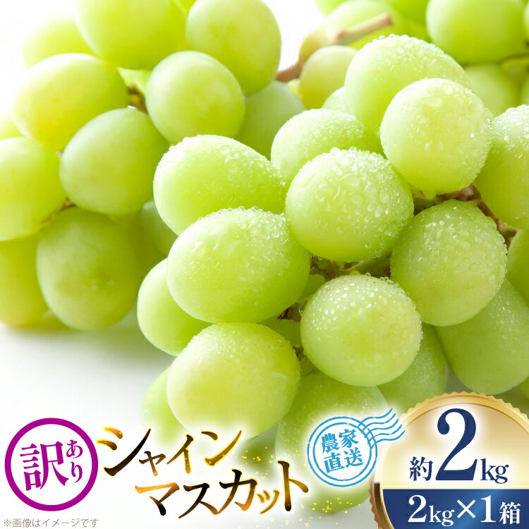 【ふるさと納税】 【期間限定発送】 ぶどう 家庭用 訳あり シャインマスカット 3〜4房 約2kg [治右衛門果樹園 山形県 高畠町 tk06ays830024] ブドウ 葡萄 フルーツ 果物 くだもの デザート 甘い シャイン マスカット 2キロ 産地直送 農家直送 期間限定