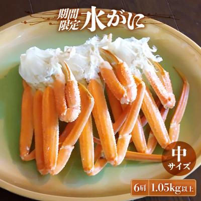 ふるさと納税 越前町 【期間限定】≪浜茹で≫ 越前産水がに中サイズ 6肩(1.05kg以上)