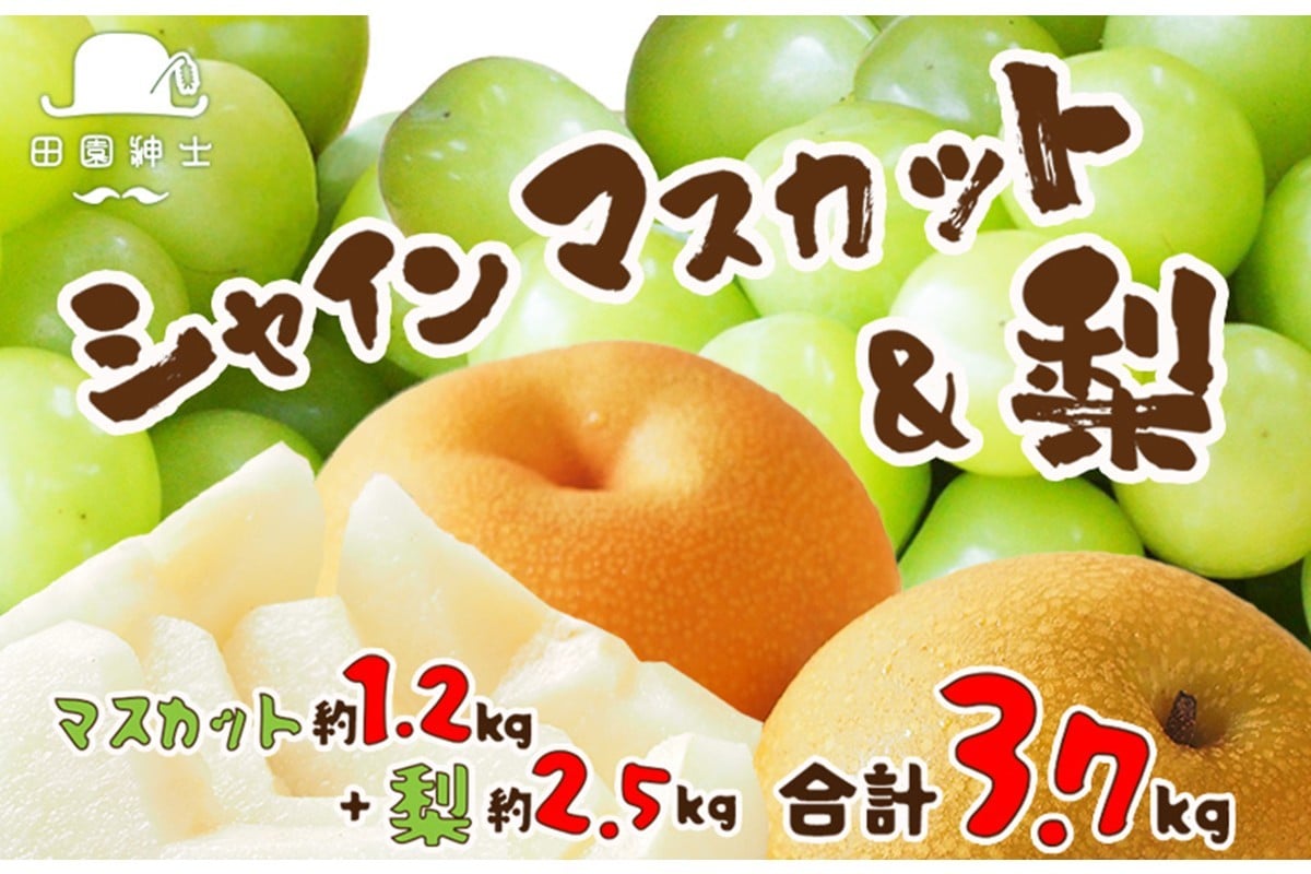 
                  田園紳士厳選 シャインマスカット・梨セット 果物 フルーツ シャインマスカット 梨 セット 詰め合わせ ふるさと納税 シャインマスカット ふるさと納税 フルーツ セット　DE00142
                