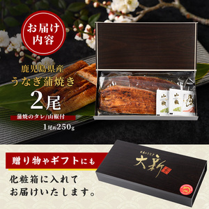 うなぎ 蒲焼 2尾 約500g 鹿児島県産 うなぎ IB021-001