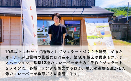 手作りジェラート詰め合わせ 6種類（12個入） | ジェラート 新潟県 出雲崎町