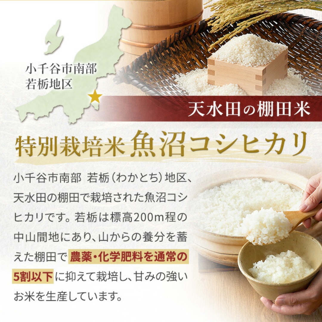 【令和7年産 定期便】【毎月お届け】わかとち産 魚沼コシヒカリ 特別栽培 棚田米 5kg×6回 白米 精米  新潟県産 コシヒカリ
