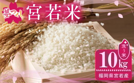
            令和7年産 夢つくし 精米 10kg [M895-3] ごはん コメ ご飯 精米 白米 ブランド米
          