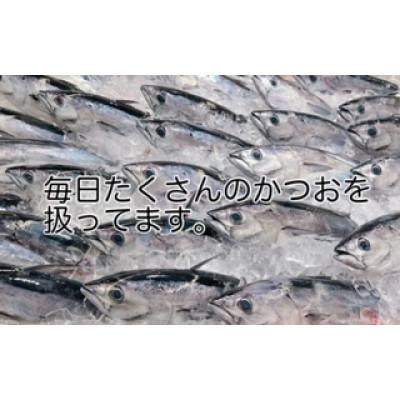 ふるさと納税 南国市 高知沖中土佐久礼生かつお生タタキ3節(手焼きわら焼き) |  | 02