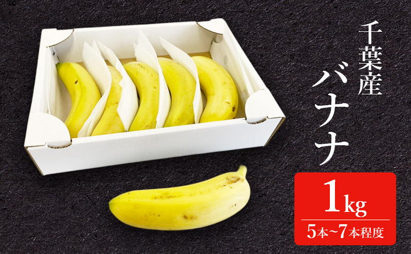 幻の品種 グロスミッシェル種 千葉市産 バナナ 1kg 定期便（4回）1月～4月出荷 果物 フルーツ 千葉市