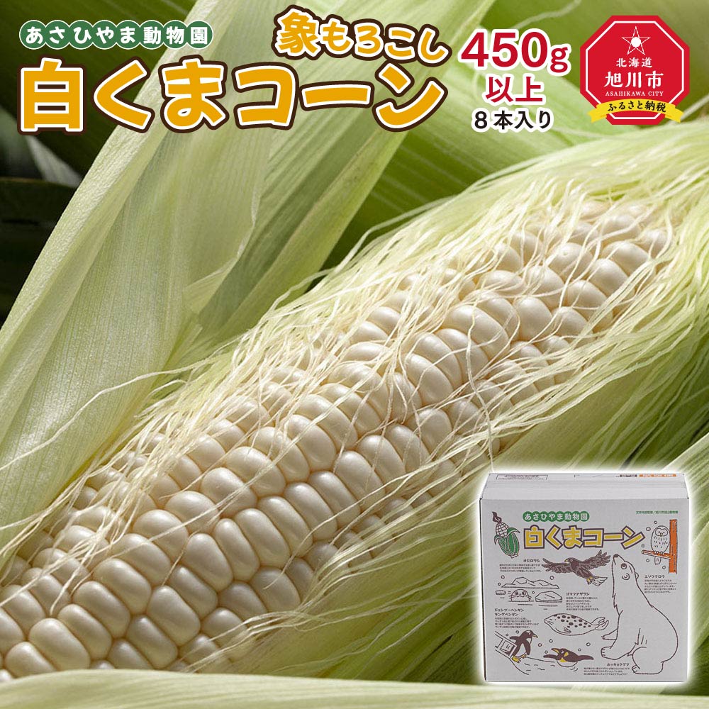 【ふるさと納税】【先行予約】象もろこし（白くまコーン）大きいサイズのトウモロコシ　450g以上8本入り (2025年8月下旬～発送開始予定)_01413 | 白いとうもろこし おおもの 白いスイートコーン コーン 産地直送 ホワイトレディ ピュアホワイト 旭川市 北海道 送料無料