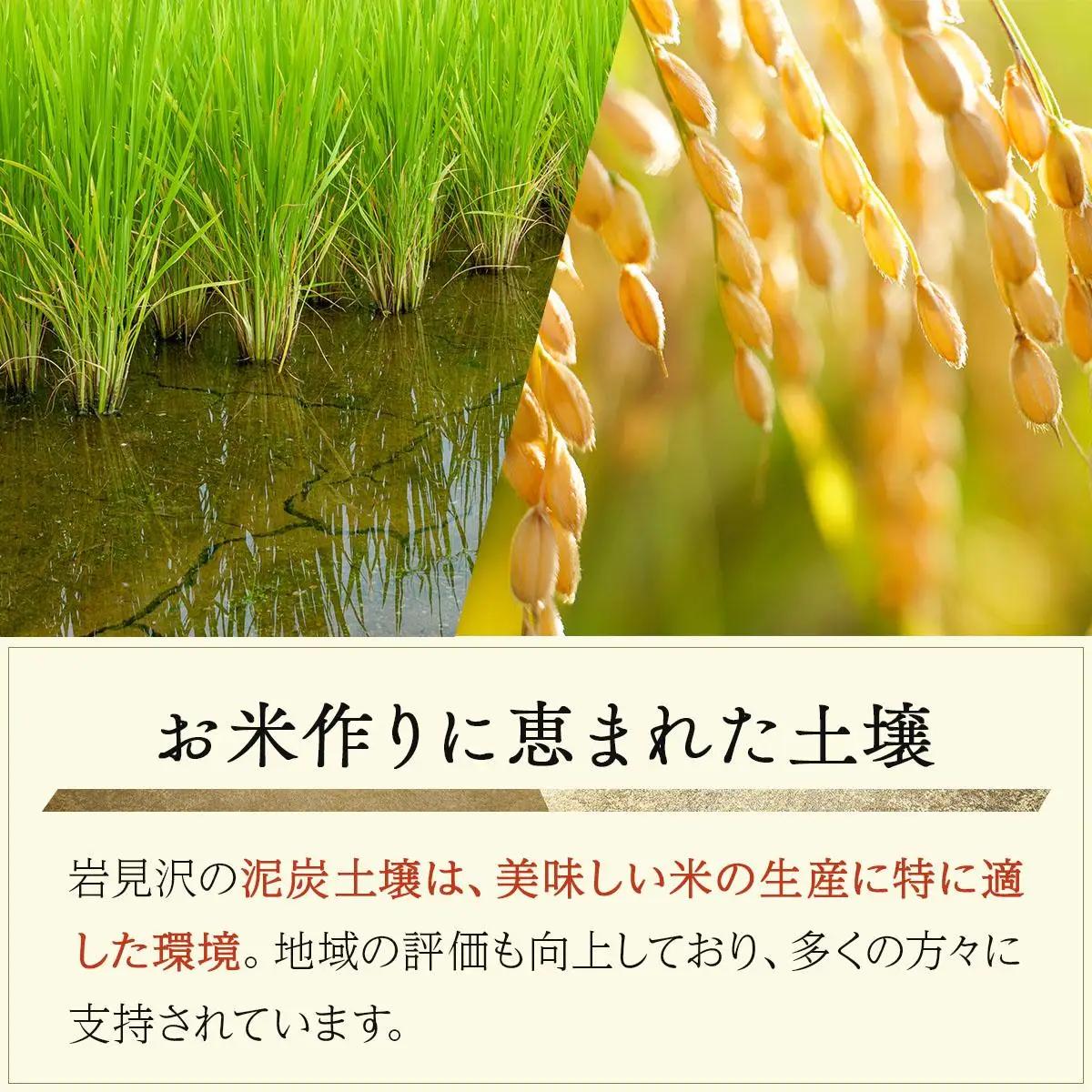 令和7年産 北海道 岩見沢市産 おぼろづき 玄米 5kg ≪沖縄・離島配送不可≫ a124-035-R7
