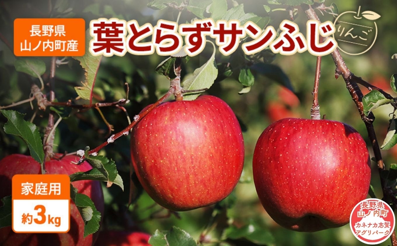 
                  【2026年11月～発送】家庭用　葉とらずサンふじ　リンゴ　約3kg りんご 林檎 果物 くだもの フルーツ 信州 長野
                