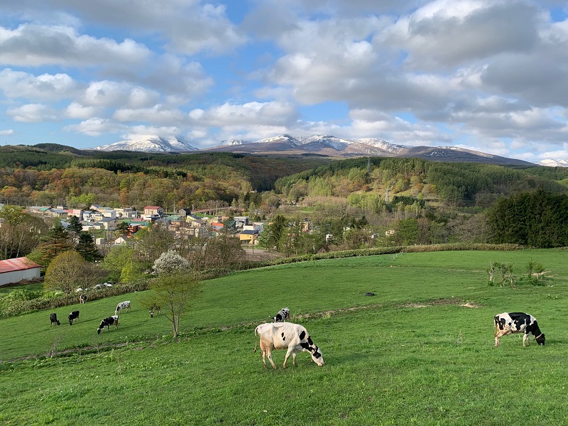 【6ヵ月定期便】アイス 三田牧場 特製 アイスクリーム 10個 セット ミルク チョコレート いちごミルク ラムレーズン 抹茶 お菓子