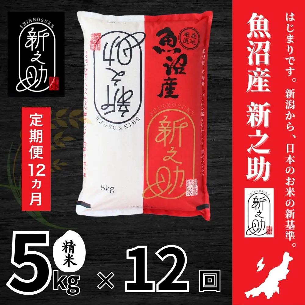 12ヶ月定期便 中魚沼産「新之助(しんのすけ)」5kg 有限会社イタバ |津南町 魚沼 令和7年